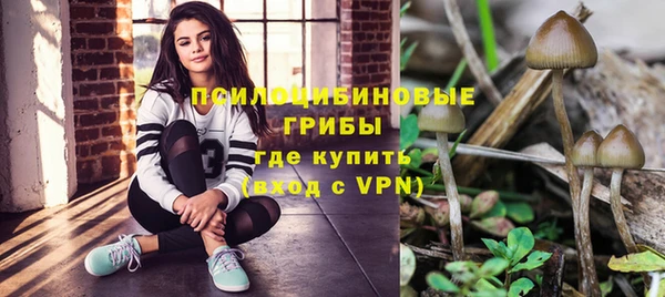твердый Няндома